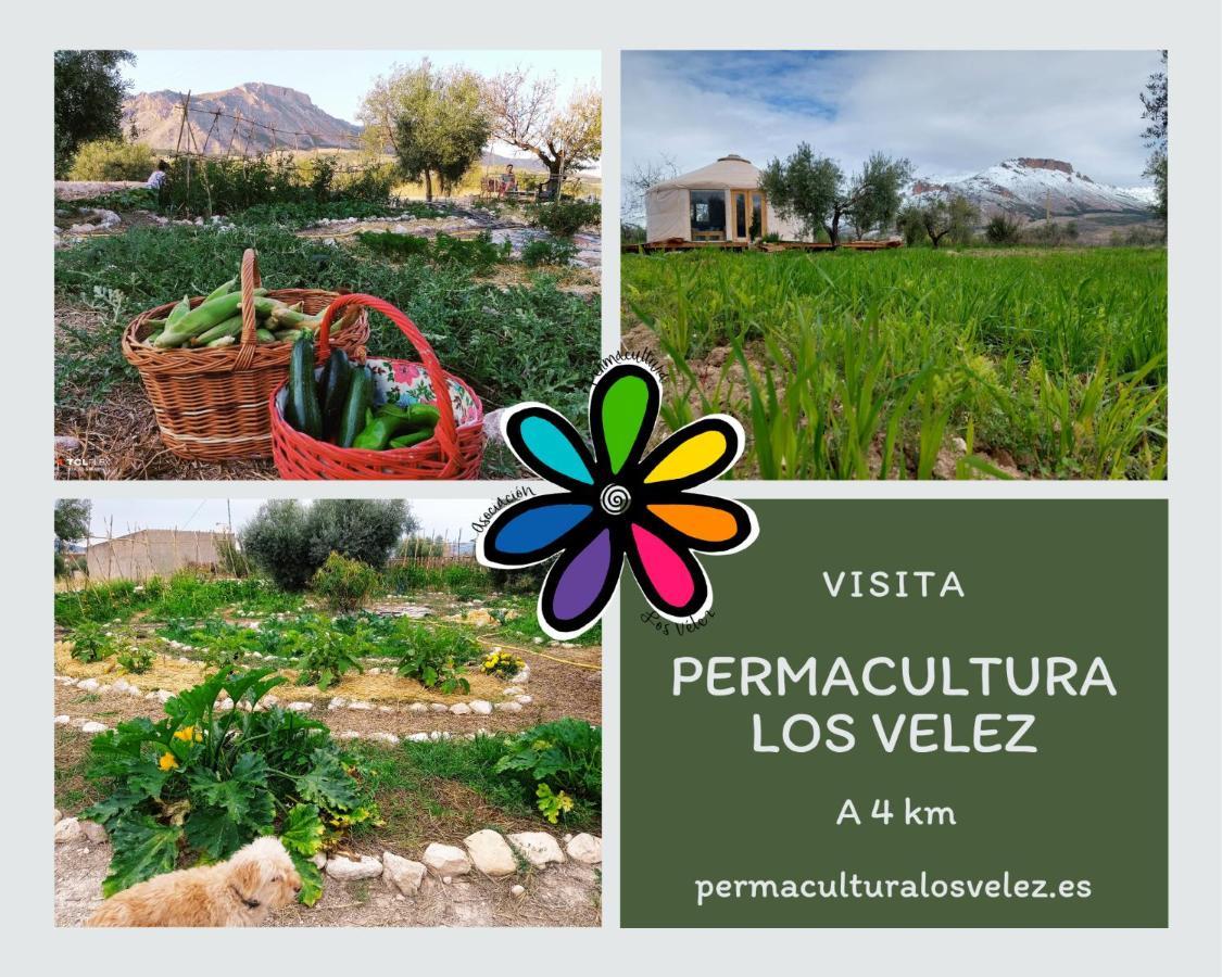 La Casa Viva. Alojamiento Responsable Y Sostenible. 벨레즈블랭코 외부 사진